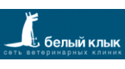 Белый клык