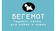 Груминг салон Бегемот