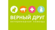 Верный Друг