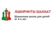 Лабиринты шахмат
